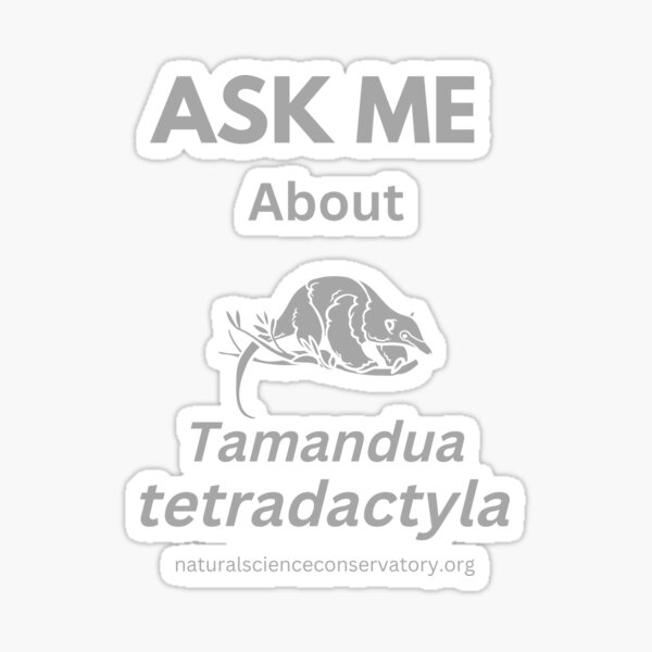 Flavvore Tamandua Pose | Sticker