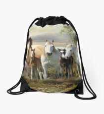 Connemara Pony Drawstring Bag