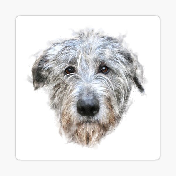 Irish sales wolfhound gifts