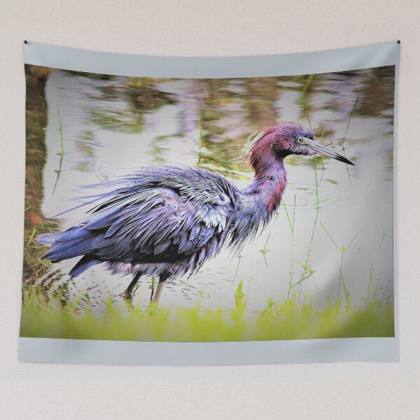 Item preview, Lil blue heron close-up designed and sold by B. Randi Bailey.