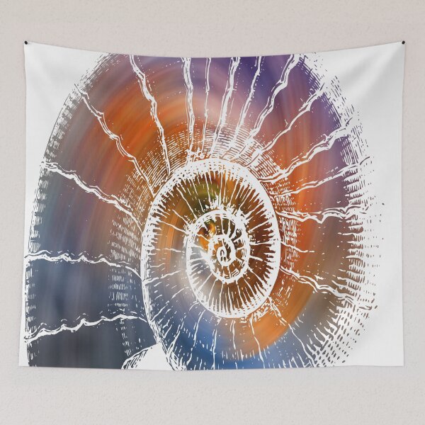 Item preview,   The Nautilus shell Transparent  designed and sold by Rocky Mountain Artistry.