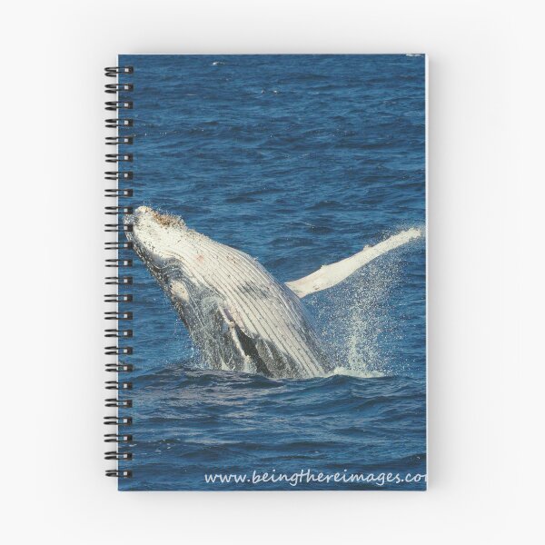 Item preview, Breaching Humpback designed and sold by BeingTherePix.