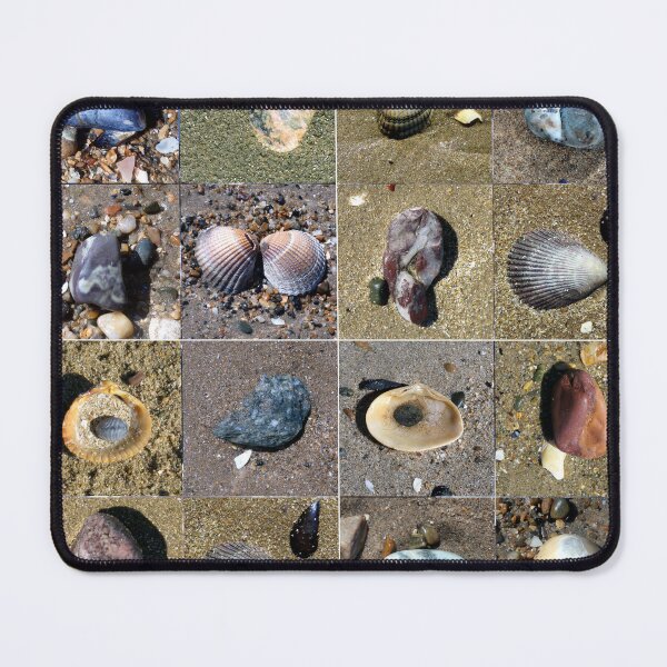 Item preview, pebble and shells designed and sold by KathleenDawson.