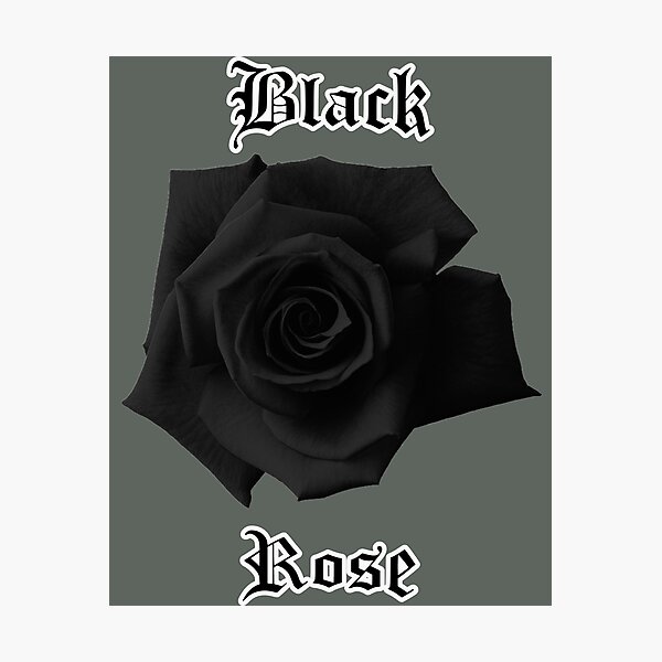 Black Roses】ブラックローズ 新品9デック トランプ/UNO 毎日発送ＯＫ 
