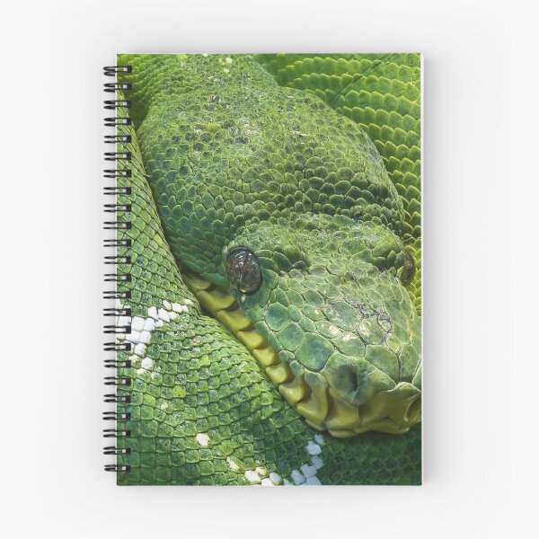 Item preview, Green Pit Viper | Snakes - Animal designed and sold by Badowolf.