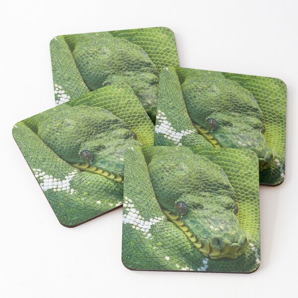 Item preview, Green Pit Viper | Snakes - Animal designed and sold by Badowolf.