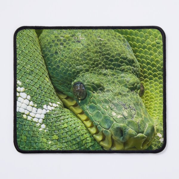 Item preview, Green Pit Viper | Snakes - Animal designed and sold by Badowolf.