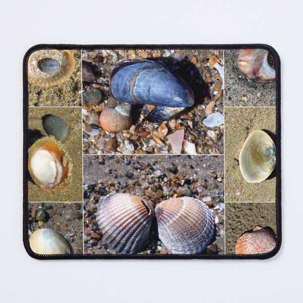 Item preview, shell designed and sold by KathleenDawson.
