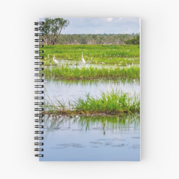 Item preview, Great Egrets and Magpie Geese at Corroboree Billabong in Northern Territory, Australia designed and sold by Danielasphotos.