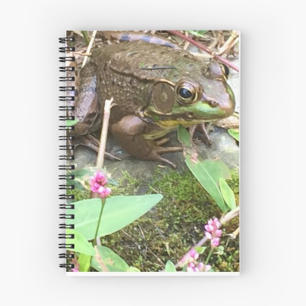 Item preview, Bull frog designed and sold by dragongirl222.