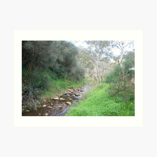 Up the creek Art Print