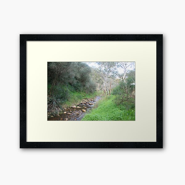 Up the creek Framed Art Print