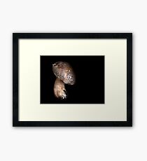 Untitled Framed Print