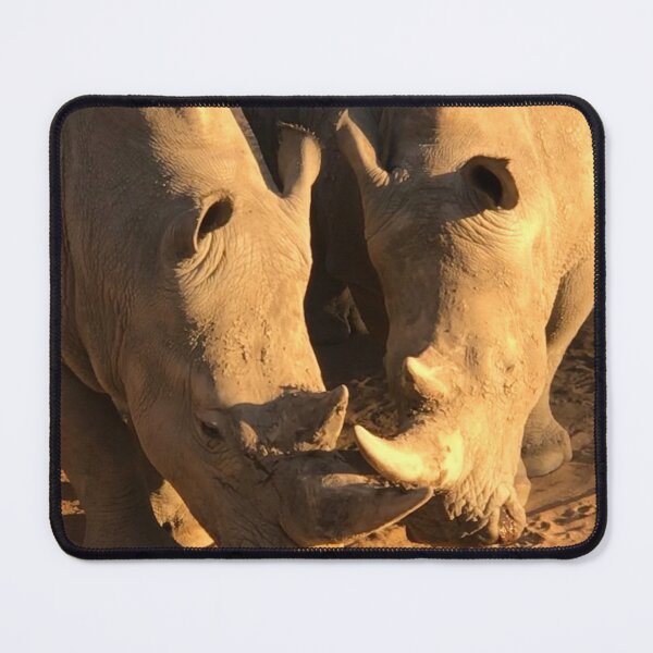 Item preview, White Rhino - sold in aid of The Waterberg Trust designed and sold by SophieNeville.