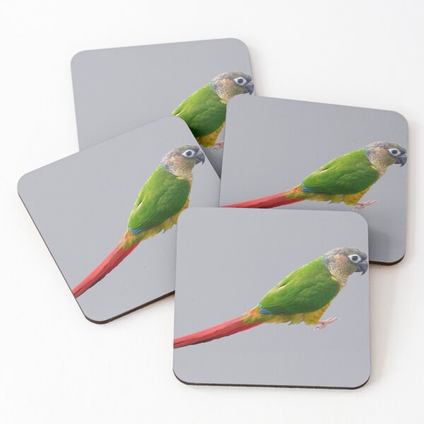 Item preview, Conure designed and sold by Lil-Bit-Batty.