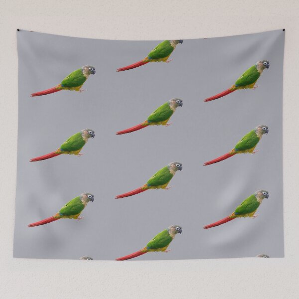 Item preview, Conure designed and sold by Lil-Bit-Batty.