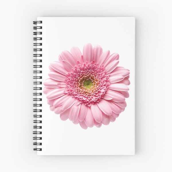 Artikelvorschau, Rosa Gerbera-Gänseblümchen entworfen und verkauft von Theppacs.