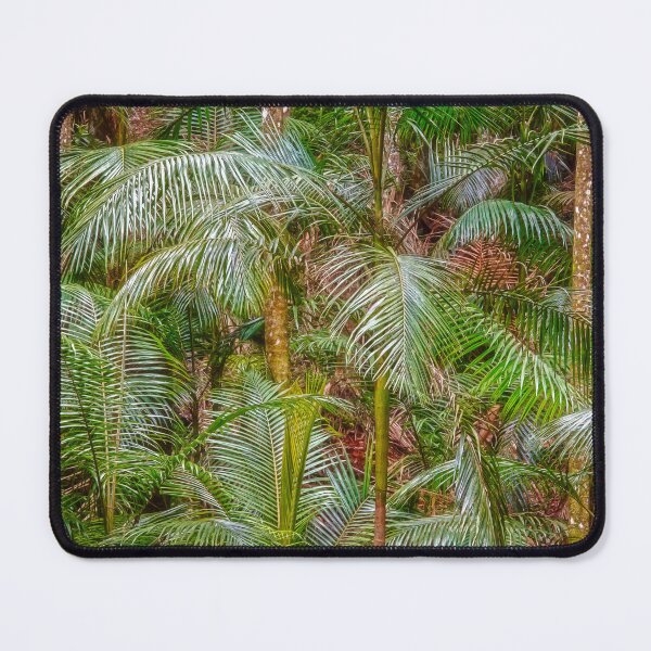 Item preview, Deep In The Forest, Tamborine Mountain designed and sold by Dave Catley.