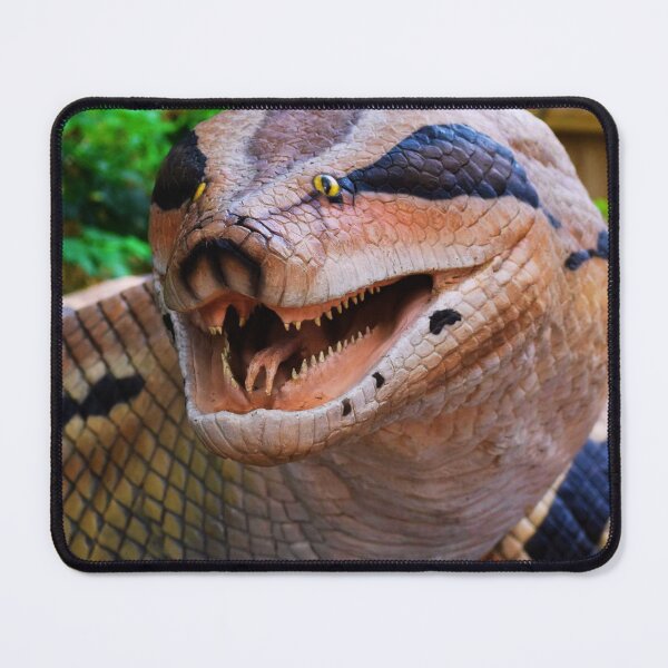 Item preview, AnacondA will hunt you | Wild Life - Animal designed and sold by Badowolf.