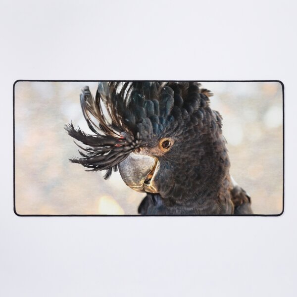 Item preview, Red-Tailed Black Cockatoo, Native Animal Rescue, Perth designed and sold by Dave Catley.