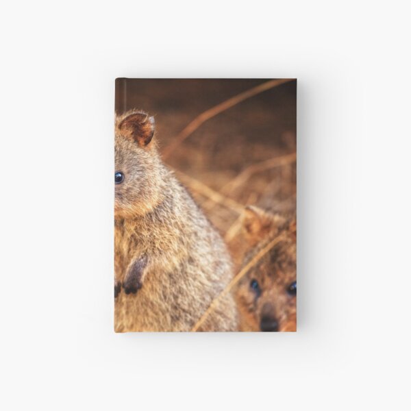 Item preview, Quokka Cuteness, Rottnest Island designed and sold by Dave Catley.