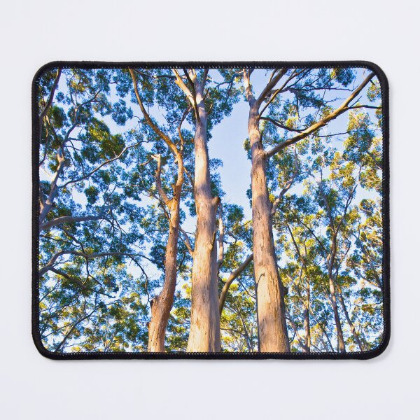 Item preview, Boranup Forest View designed and sold by Dave Catley.