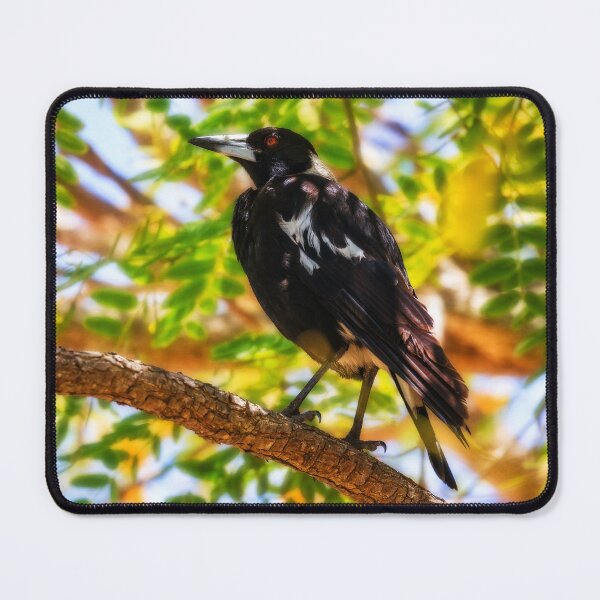 Item preview, Urraca australiana designed and sold by Dave Catley.