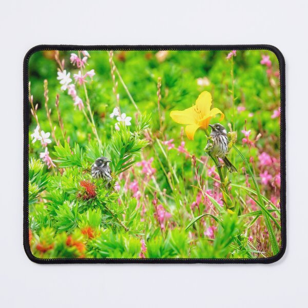 Item preview, Honeyeaters in Bottle Brush, Bushy Lakes, Margaret River designed and sold by Dave Catley.