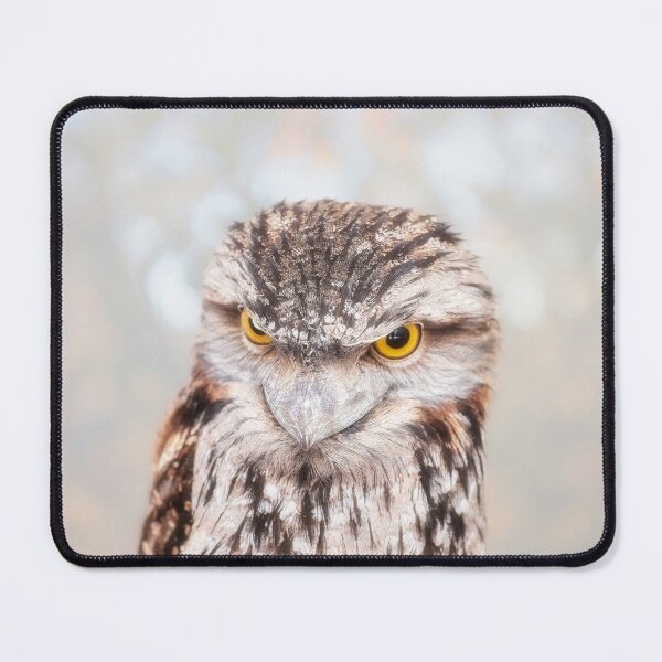 Item preview, Tawny Frogmouth, Native Animal Rescue designed and sold by Dave Catley.