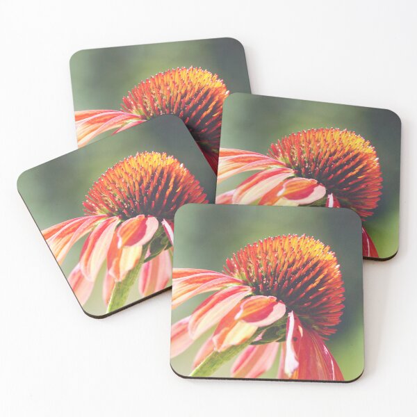 Item preview, Soft Red Coneflower Close-Up - Botanical Grace designed and sold by CarolinaReina.