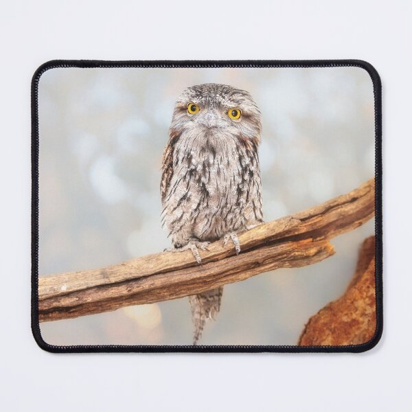 Item preview, ET Wide Awake, Native Animal Rescue designed and sold by Dave Catley.