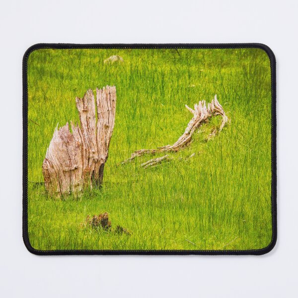 Item preview, Sailing The Sea of Grass Clothing, Bells Rapids, Perth designed and sold by Dave Catley.