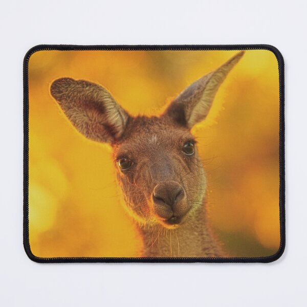 Item preview, What's Up, Yanchep National Park designed and sold by Dave Catley.