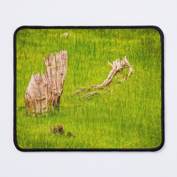 Item preview, Sailing The Sea of Grass, Bells Rapids, Perth designed and sold by Dave Catley.