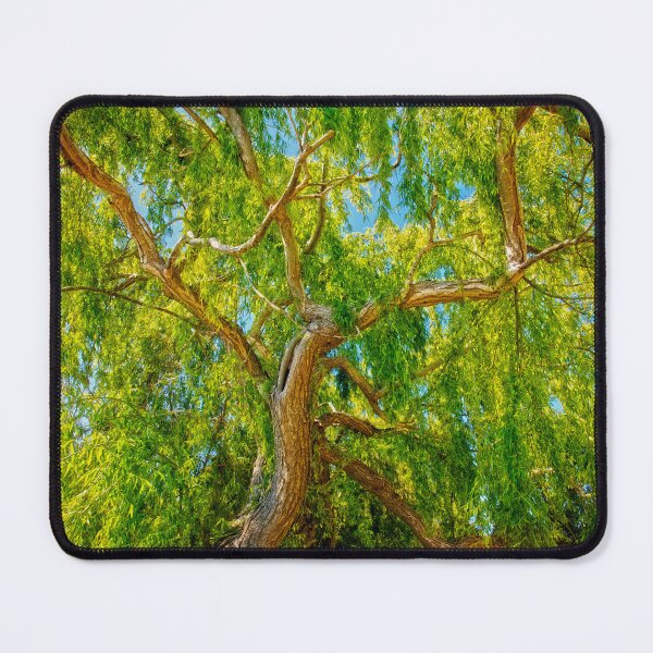 Item preview, Colour of Life, Yanchep National Park designed and sold by Dave Catley.