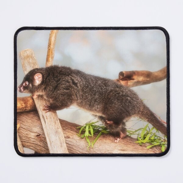 Item preview, Kaya the Ringtail Possum, Native Animal Rescue designed and sold by Dave Catley.
