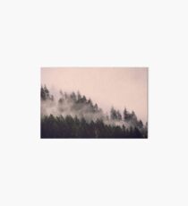 Peach Forest - Pink Fog in the Woods Art Board