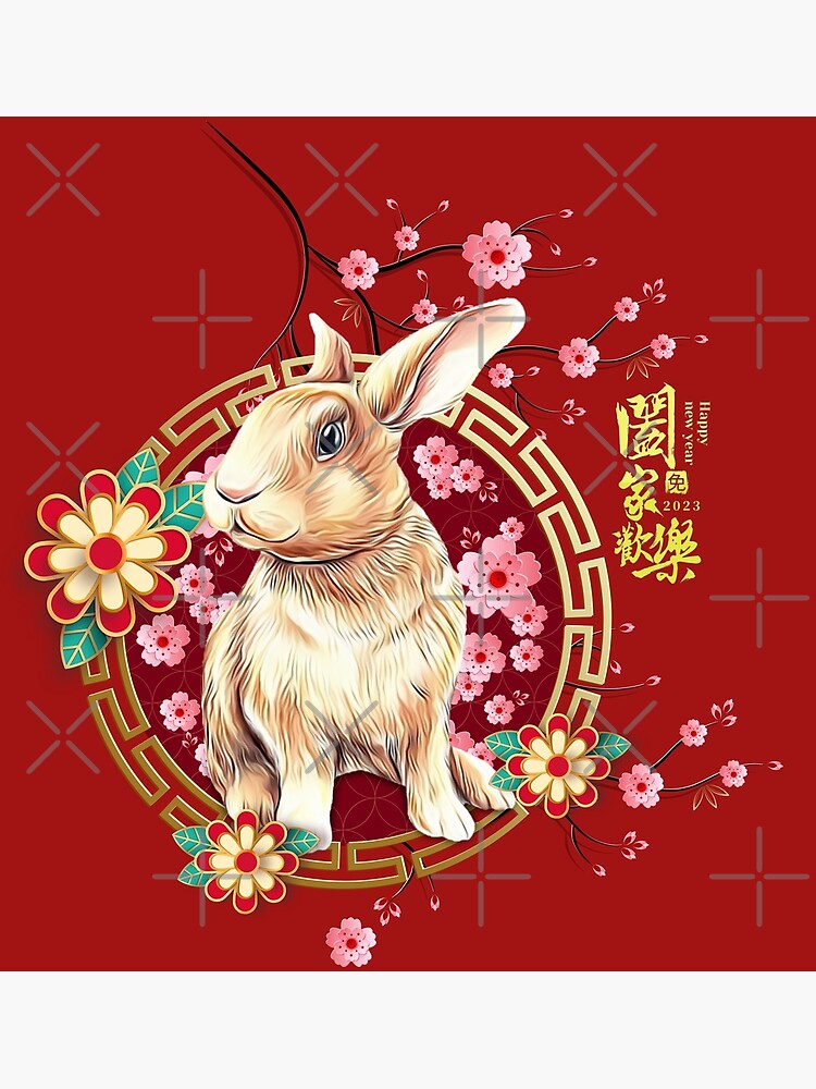 Chinese Zodiac Rabbit 2023 Lunar New Year 2023 Poster For Sale By Taogiauco Redbubble