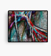 Piece of mind Canvas Print