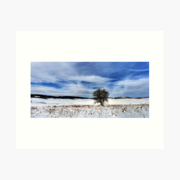 Item preview, A Lone Tree designed and sold by Raquel O'Neill.