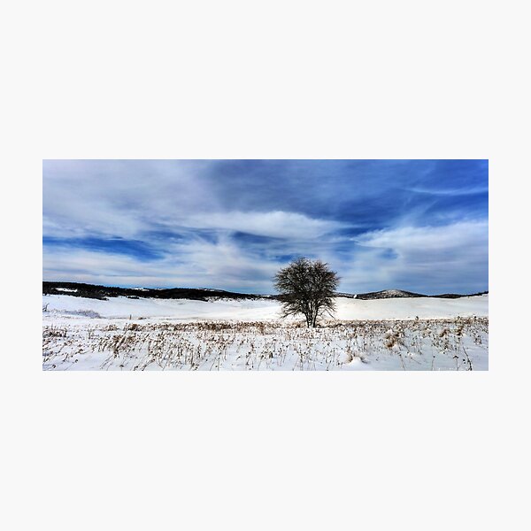 Item preview, A Lone Tree designed and sold by Raquel O'Neill.