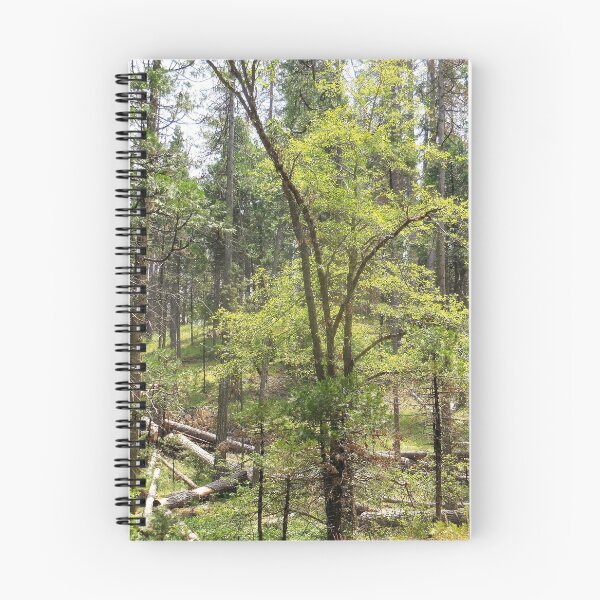 Item preview, Spring at Bass Lake designed and sold by Chris Gudger.