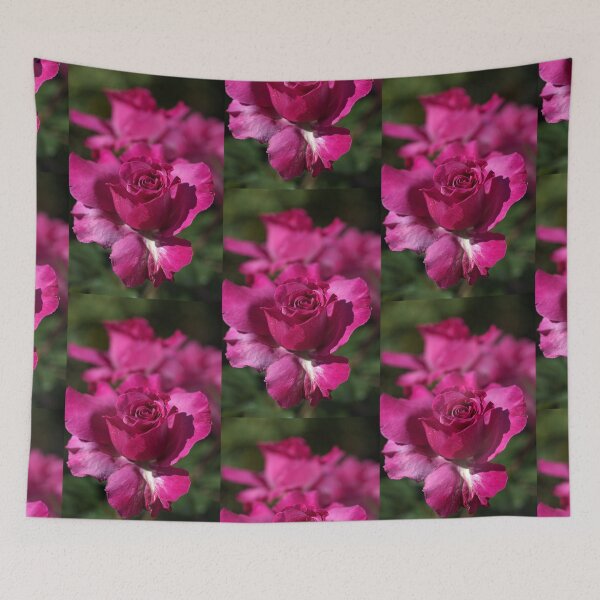 Item preview, Pink Rose Of Summer designed and sold by Joy Watson - Natural Light Photography .