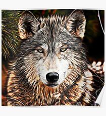 WOLF GRAY - GRAY WOLF - LOUP GRAY Poster
