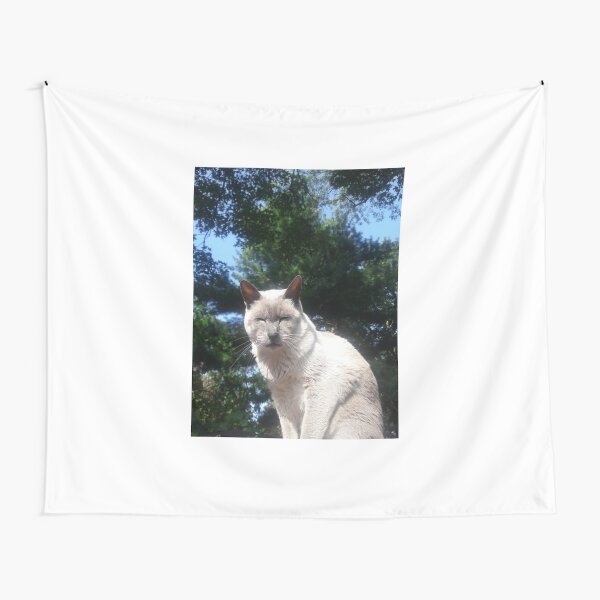 Bright Light Kitty Tapestry