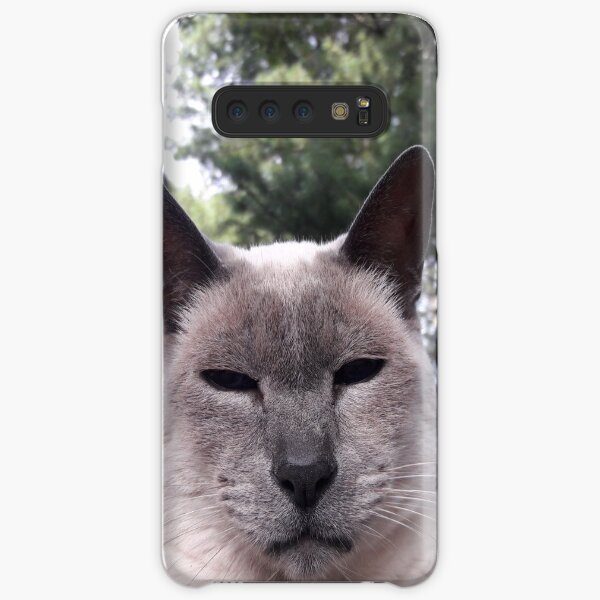 "What, another picture?" Kitty Samsung Galaxy Snap Case
