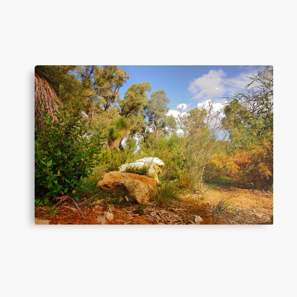 Item preview, Our colourful local bush designed and sold by georgieboy98.