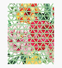 Floral Triangles Design Photographic Print