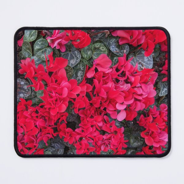 Item preview, Red Cyclamen designed and sold by Shapes-Mania.
