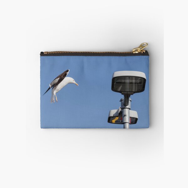 Item preview, Seagull lands on a flashlight against a blue sky designed and sold by EG Creativity Art.